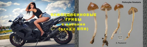 таблы Арсеньев