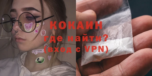 гашик Аркадак